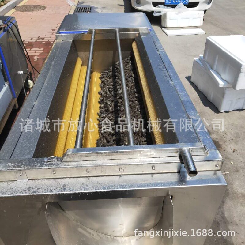 全自动海参清洗机 不锈钢毛辊喷淋清洗机 毛刷清洗机