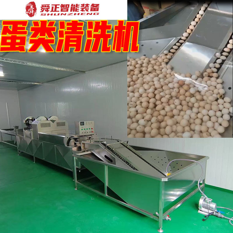 大型全自动洗蛋机 鸡蛋清洗风干光检流水线 多功能松花蛋清洗机,清洗/食品/商业设备,打蛋机/洗蛋机/磕蛋机,淘宝优惠券,粉丝福利购,淘宝优惠卷