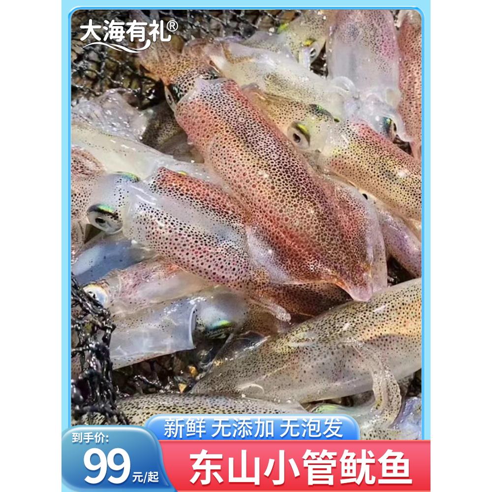 大海有礼 东山小管鱿鱼冷冻鲜活海兔子弹管笔管鱼海鲜水产小管鱿
