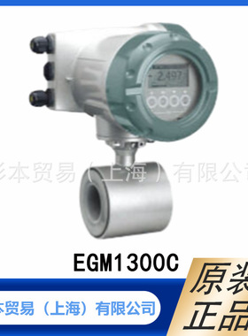 TOKYOKEISO 东京计装   集成式电磁流量计   EGM1300C