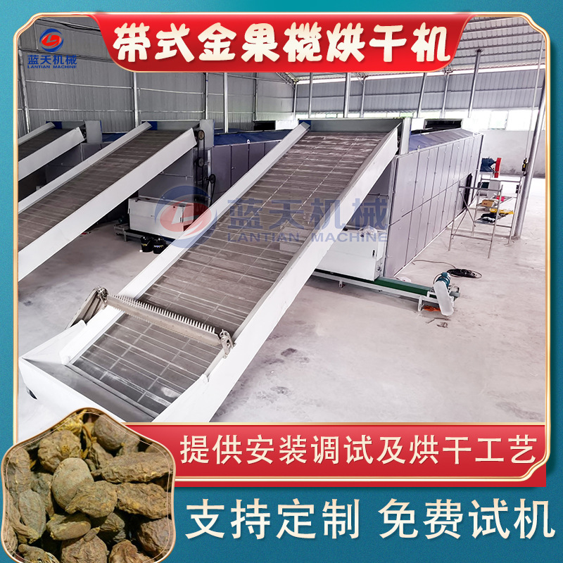 金古榄烘干设备 连续式九莲子地蚕全自动干燥机 网带金果榄烘干机