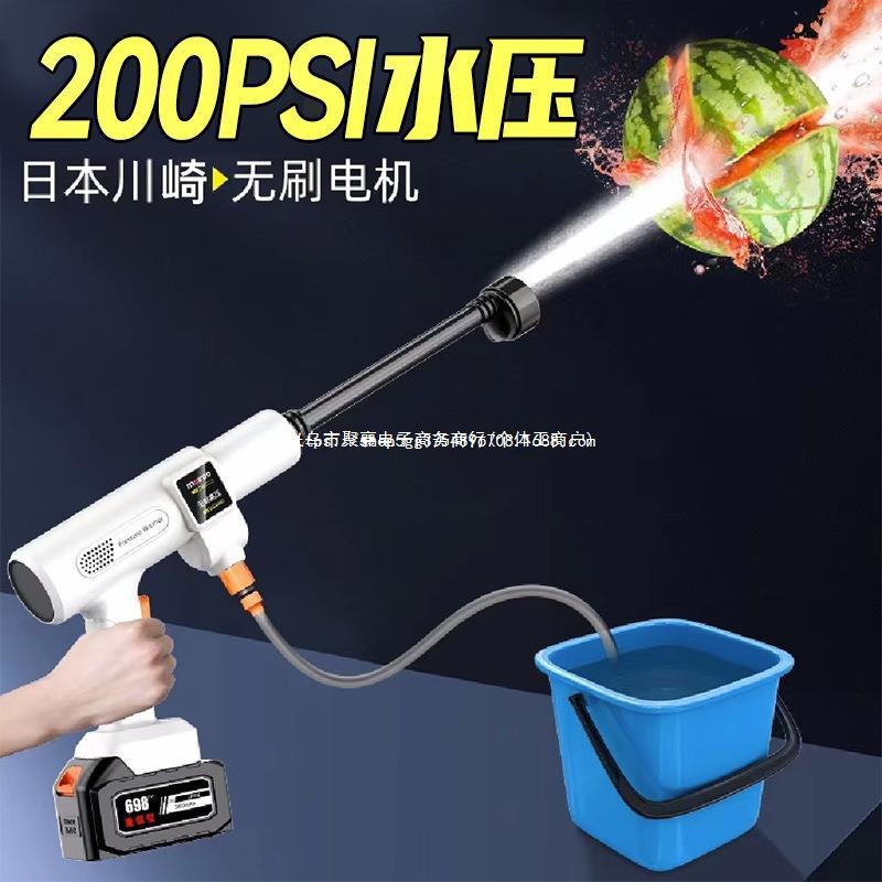 家用洗车水无线进口抢电动高压洗车水枪充电锂电池增压