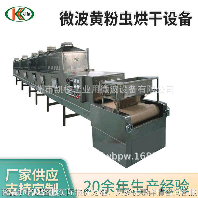 微波黄粉虫烘干设备 小型隧道式微波黄粉虫烘干机厂家 大麦虫烘干