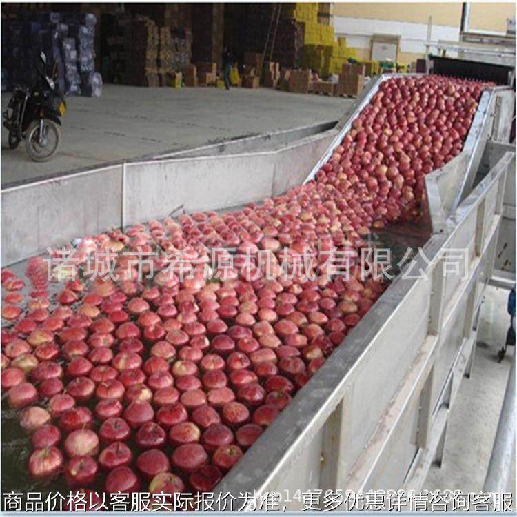 全自动苹果梨清洗机 海带清洗脱盐机 芹菜油菜清洗机 供应,鲜花速递/花卉仿真/绿植园艺,高压清洗机,淘宝优惠券,粉丝福利购,淘宝优惠卷