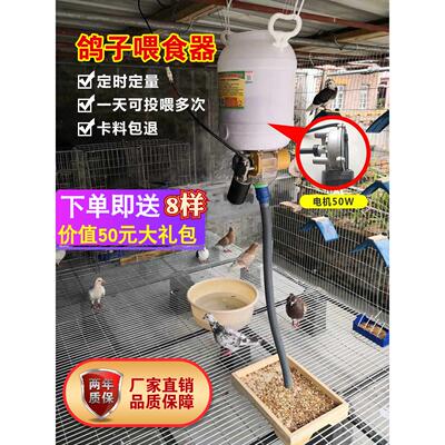 鸽子用品自动喂食器定时定量投食器喂料机信鸽观赏鸽鸡鸭鹅狗鱼猫