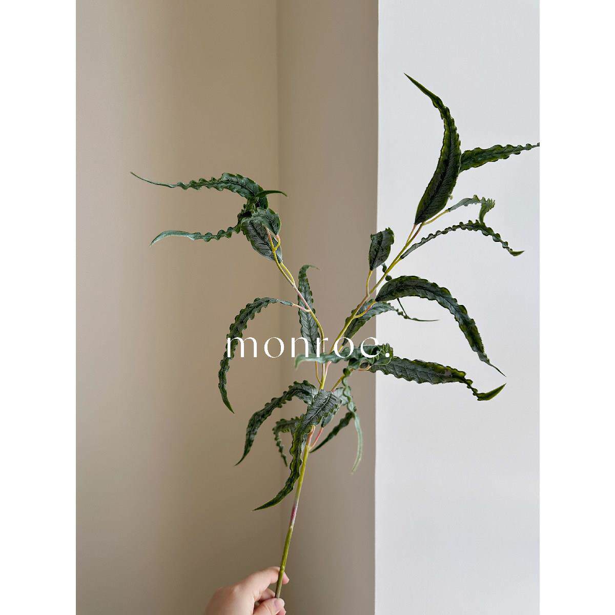 卷边尤加利·梦鹿仿真植物 干花胶感绿色植物软装陈设手感锯齿叶
