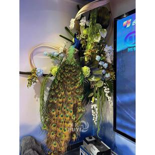 【精品】彷真蓝孔雀动物摆件家居装饰鸟类标本模型真羽毛摄影道具