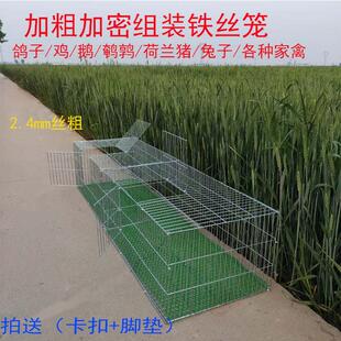加密加粗镀锌铁丝笼鸡笼鸽子笼兔笼鸟笼运输笼养殖笼小鸡笼鹌鹑笼