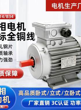 电机上海德东三相异步马达铜芯铝壳0.09KW-2.2KW国标交流电动机
