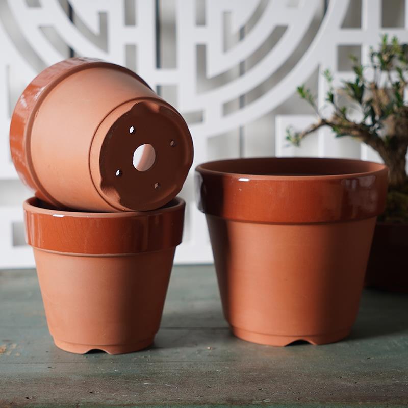 常滑烧盆景培养盆日式杜鹃盆真柏铝丝盆透气卡特兰石斛红陶盆高款