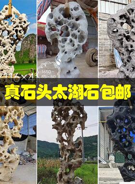 真石头太湖石天然原石摆件鱼缸造景庭院花园阳台室内奇石园林景观