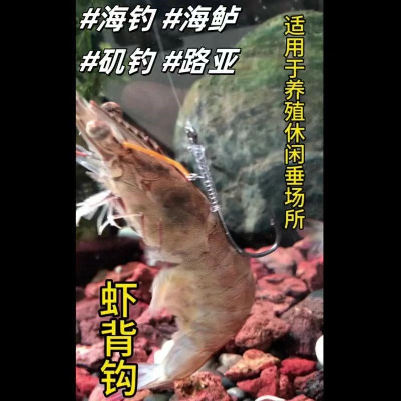 活虾钩虾背橡皮圈弹簧不伤虾海钓E矶钓路亚石斑红油活背虾钩配件图片