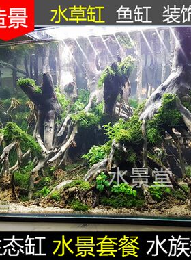 沉木造景套餐 水草泥 种植土 人造水草 摆件R装饰品鱼缸装饰木头