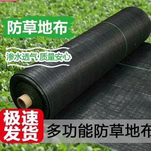 园艺地布打孔盖草 防草布除草布农用加厚防老t化果园果树透气保湿