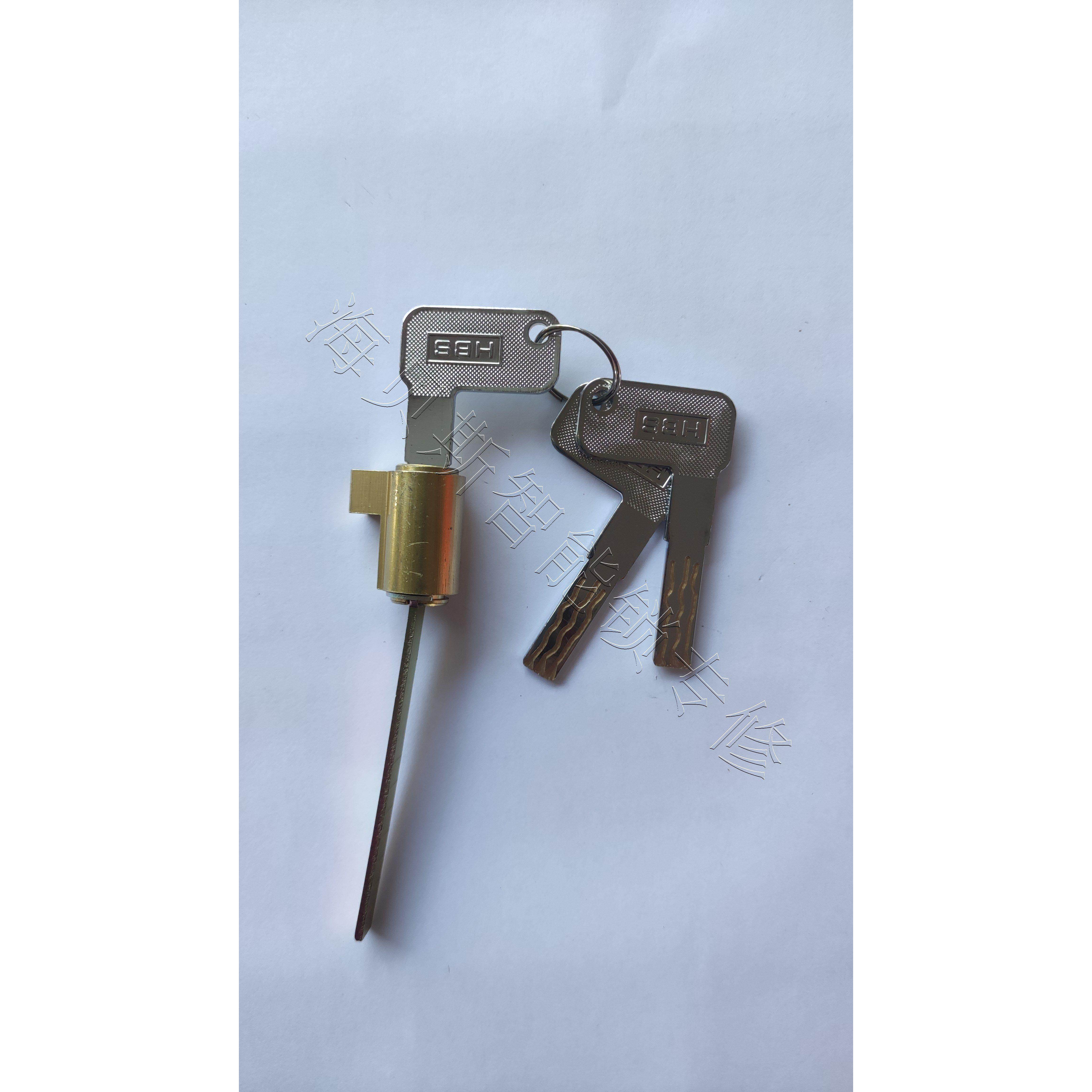 HBS 海贝斯锁芯 智能锁专用锁芯 专用机械钥匙锁芯多轨道钥匙锁芯