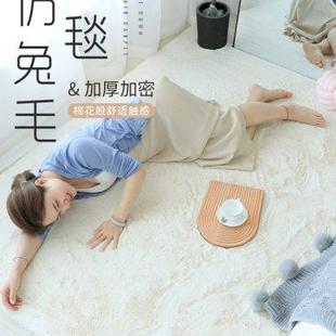 仿兔毛地毯卧室满铺可爱北欧ins床边房间客厅茶几毯地垫定制飘窗