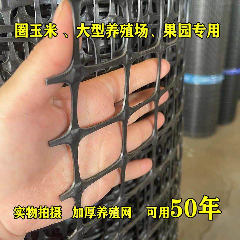 土工格栅养殖围网鸡鸭鹅垫脚漏粪网防晒防腐蚀围网路基塑料围栏网