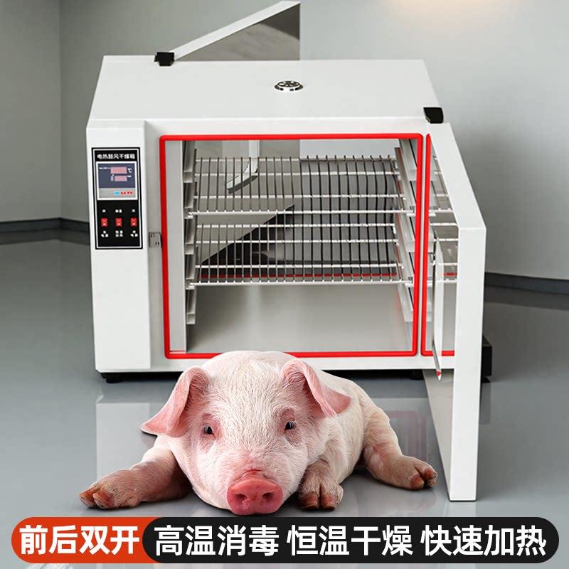 养猪场前后双门恒温消毒食品烘干箱高温烘箱电热鼓风干燥箱烤箱