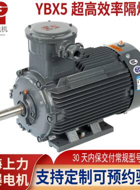 YBX5-80M1-20.75W防爆电机ExdbIIBT4Gb石化//化工有防爆证