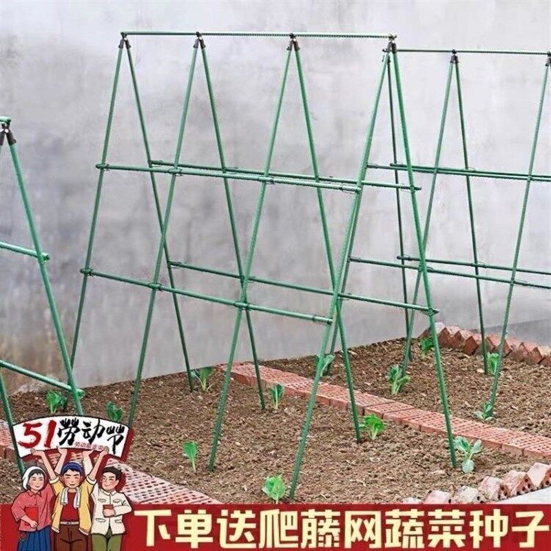 。搭棚子支架黄瓜爬藤架豆角架杆西红柿架种菜蔬菜爬架箱植物支撑,鲜花速递/花卉仿真/绿植园艺,花架,淘宝优惠券,粉丝福利购,淘宝优惠卷