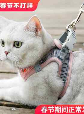;绳牵猫引咪猫绳子遛猫神器防挣脱背心式牵引绳猫链子宠物专用项