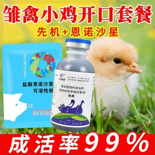 禽用鸡鸭鹅嗉囊胀气素囊炎腺肌B胃炎饲料便吐水干吃不长养鸡专用