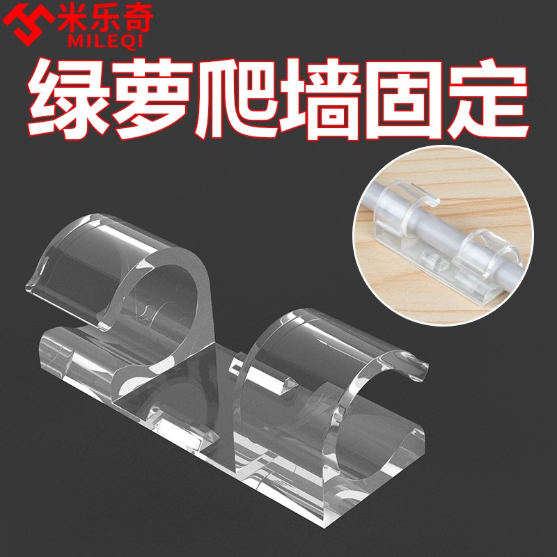 绿萝爬上神器爬墙上绿箩r固定器绿植攀爬夹子墙上无痕挂钩粘爬藤