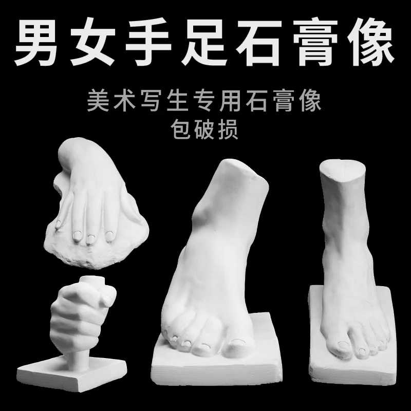 石膏像男手女手脚石膏人头像美术用品石膏教具雕塑W摆Y件写生素描