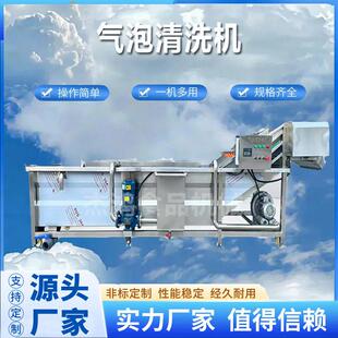 樱桃气泡清洗机樱珠小型冲洗设备不伤果皮压清洗机