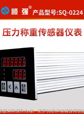 3现0货压力称重传感器仪表高精度数显R22S4SLQ85模拟量~10V