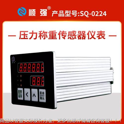 3现0货压力称重传感器仪表高精度数显R22S4SLQ85模拟量~10V