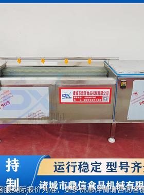 15紫00型 毛刷薯XGS清洗机 土豆毛辊去皮清洗刷机红薯毛清 洗设备