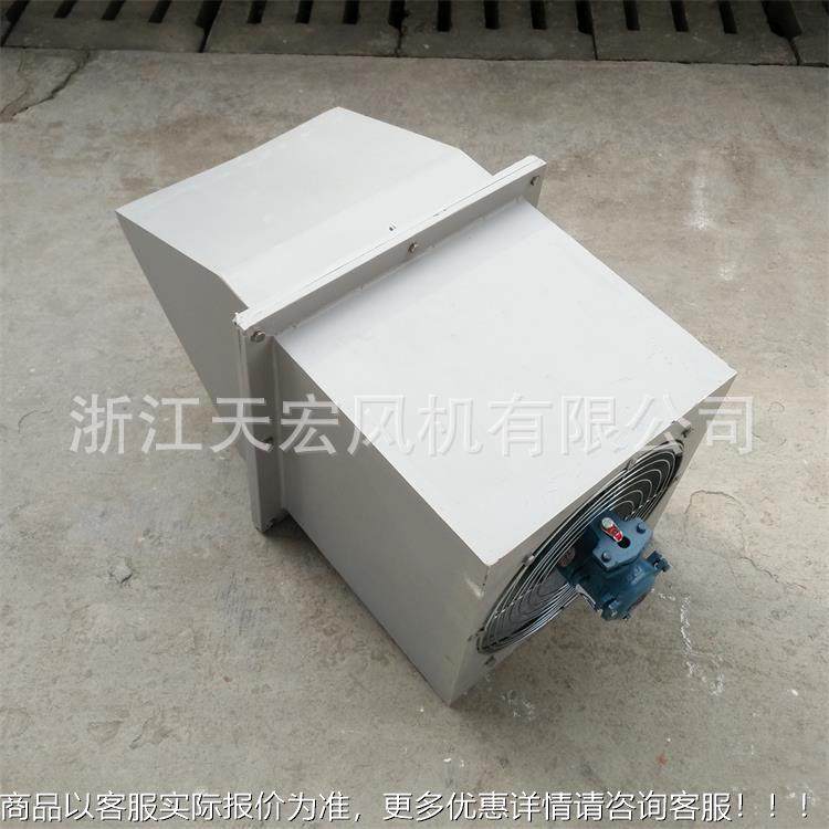 方DWEX边墙风机 防爆边墙风机防轴319腐玻璃钢边 墙风机形流风机,五金/工具,风机/鼓风机/通风机,淘宝优惠券,粉丝福利购,淘宝优惠卷