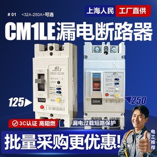 160A 125A 250A塑壳漏保220V空开2P 100A CM1LE单相漏电断路器63A