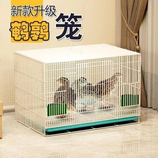 鹌鹑专用笼鹌鹑笼小型笼方笼家用养殖鹌鹑笼下蛋笼自动滚蛋鸟笼子