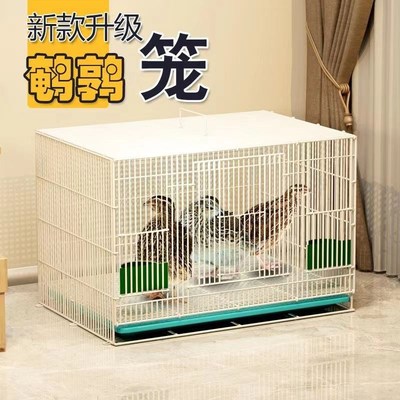 鹌鹑专用笼鹌鹑笼小型笼方笼家用养殖鹌鹑笼下蛋笼自动滚蛋鸟笼子