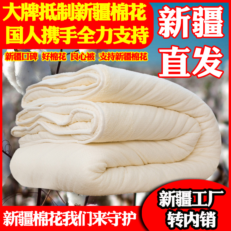 新疆天然棉花四季被子有网包边被棉絮棉胎M网套纯棉保暖2-10斤