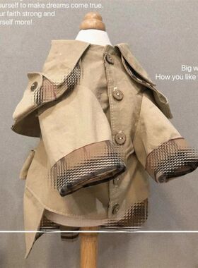 小型犬四季防掉毛春秋装宠物狗狗衣服薄款洋气时尚英伦风情侣风衣