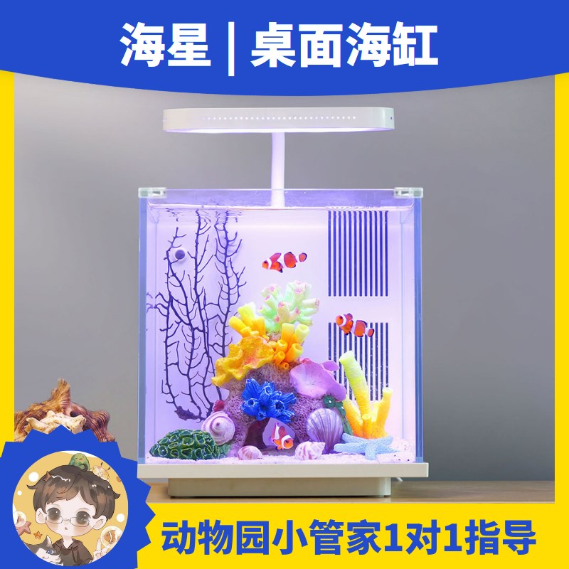 桌面海缸小丑鱼海星缸鱼缸背滤