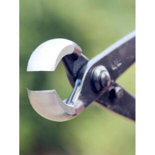 盆景园艺造型工具球节钳球形剪大号中号树瘤树疤修枝剪用品新手