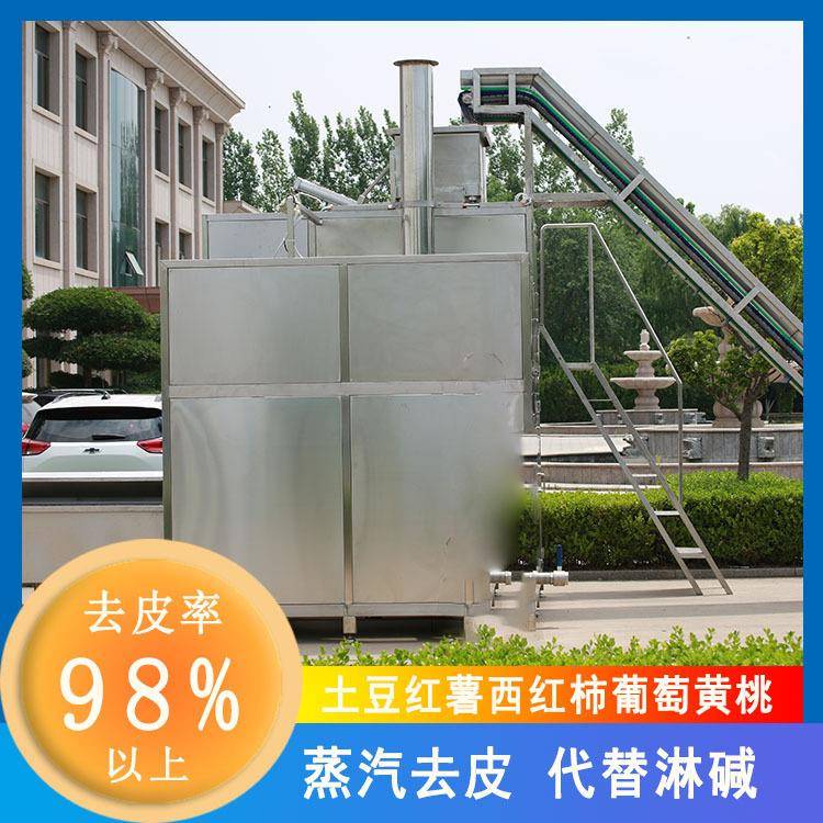 黄桃罐头黄桃纯物理高温爆皮去皮蒸汽去皮机黄桃去皮