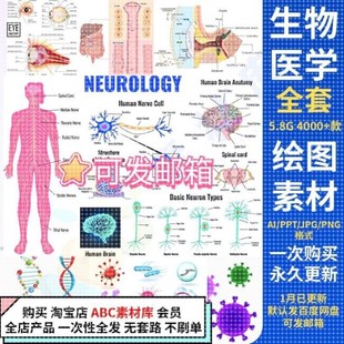 科研绘图 ppt素材ai模板生物医学可编辑插图细胞流程图通路图