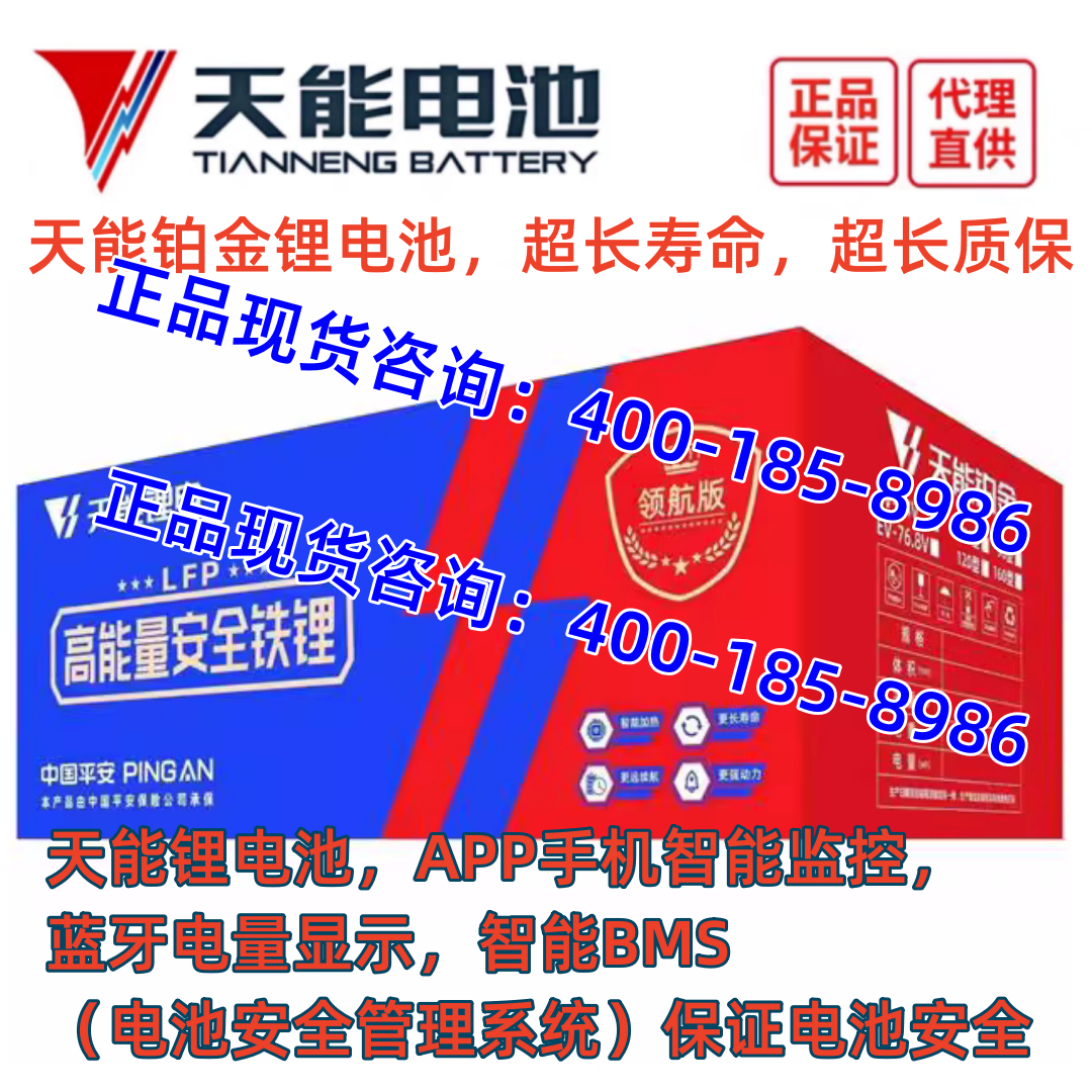 蓄电池60V72V100ah120ah天能铁锂