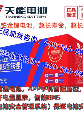天能铁锂电池60V72V35a50ah80ah100ah120ah200两三轮车四轮车适用