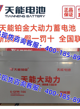 天能铂金电瓶6-GFM-166型 扫地机 电动老年代步轿车12V166AH 电池