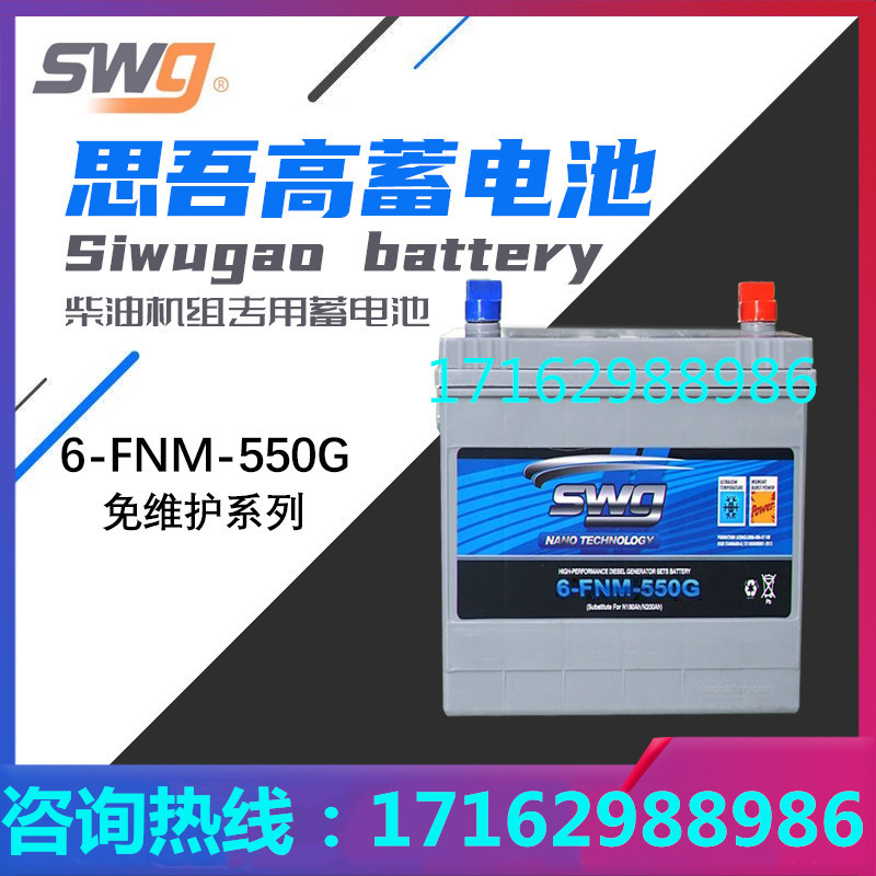 思吾高蓄电池电瓶SWG6-FNM930830