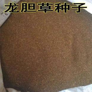 药材种子龙胆草种子 地胆头种子 磨地胆 鹿耳草 三花龙胆 包邮