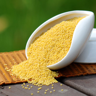 黄小米种子 谷种 五谷杂粮优质小谷子小糯米狗尾粟种子黑小米种子