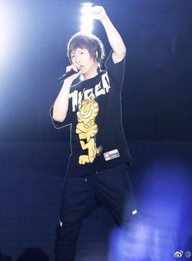 五月天阿信同款 潮牌SR神气加菲猫小立领宽版t恤 休闲时尚情侣款