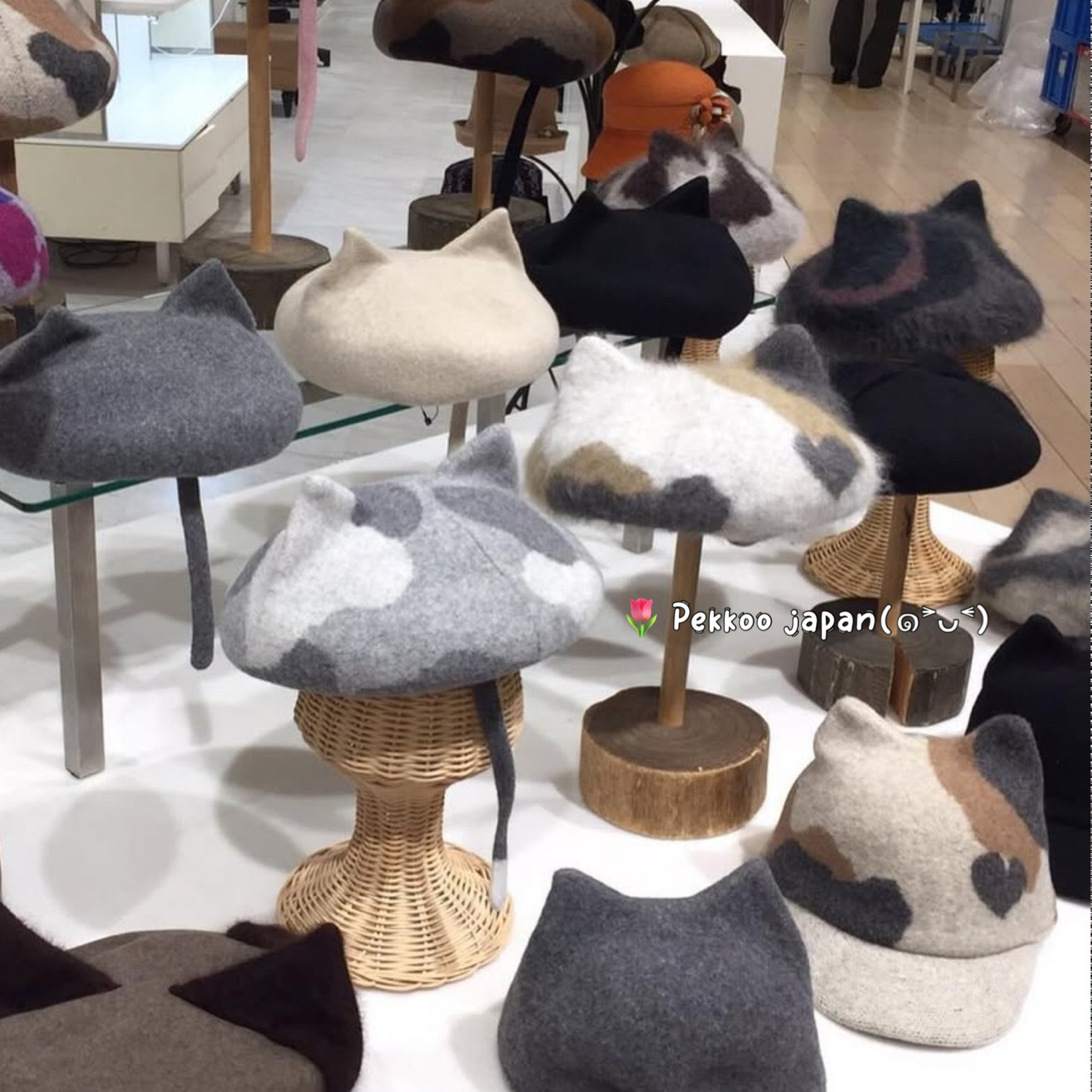 合集 Dodge 2025年 猫咪耳朵 秋冬新款羊毛 贝雷帽 针织帽 日本制